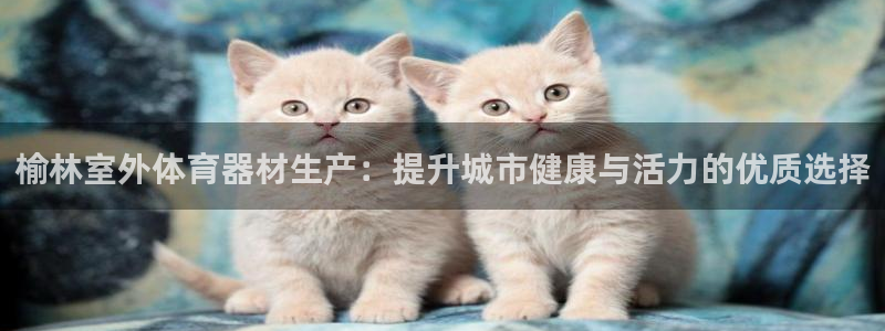 尊龙凯时ag旗舰厅官网客服