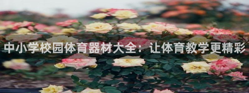 尊龙 6