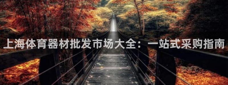 尊龙传奇英文怎么写