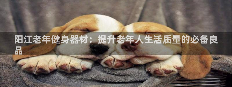 凯时首页地址