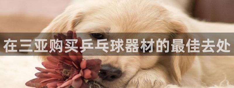尊龙凯时用户名m