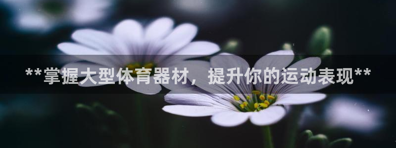 尊龙人生就是博官