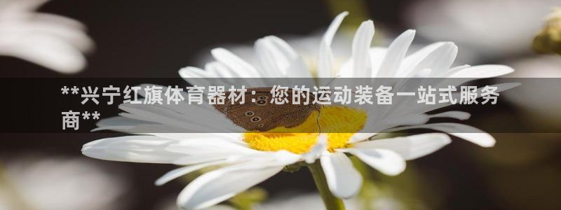 尊龙凯时法充十万返现多少