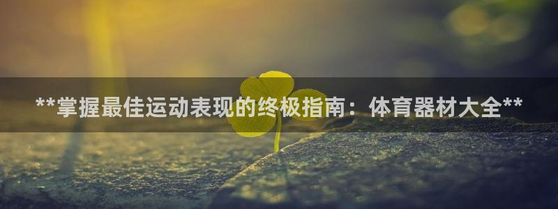 尊龙官网地址