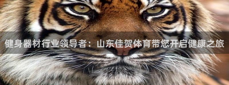 尊龙实业有限公司是正规还是仿