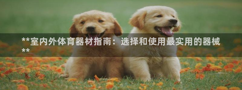 尊龙凯时代理官网入口