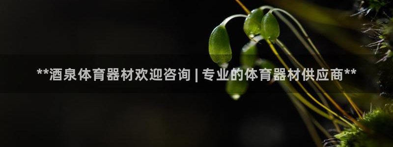 凯时尊龙平台登录