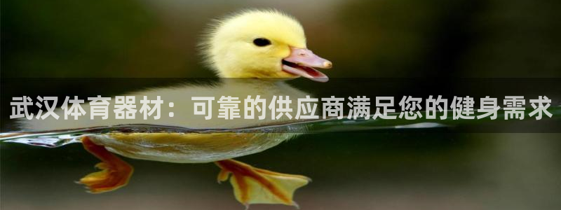 尊龙网址是选访问zd207
