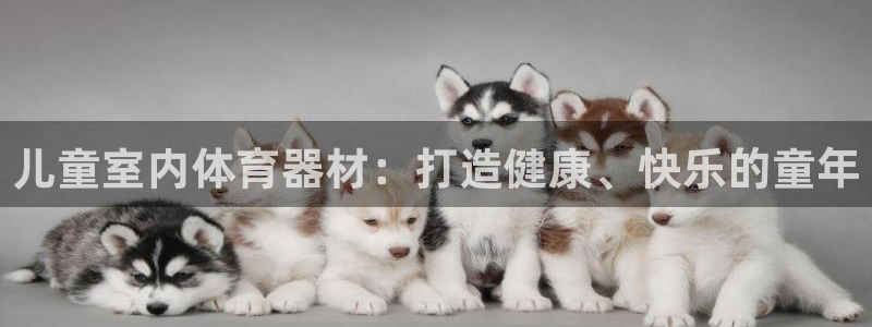 尊龙集团有限公司官网地址