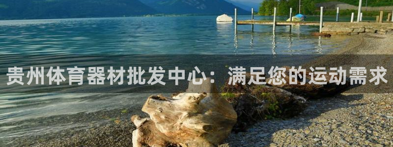 z6尊龙平台是哪里的