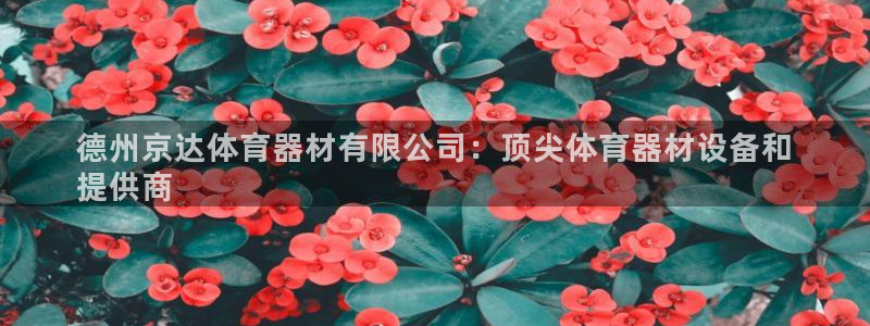 尊龙凯时平台怎么样