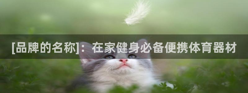 尊龙app最新版本官网