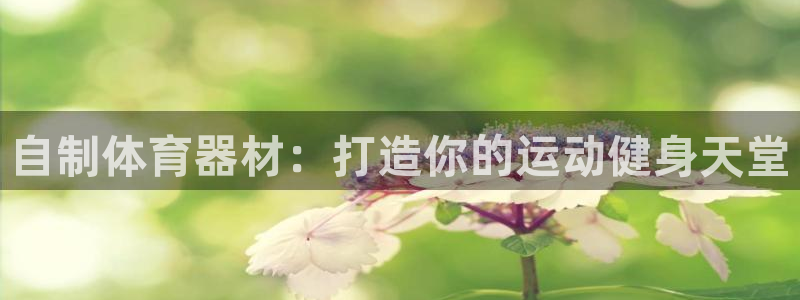 尊龙凯时处理未到账