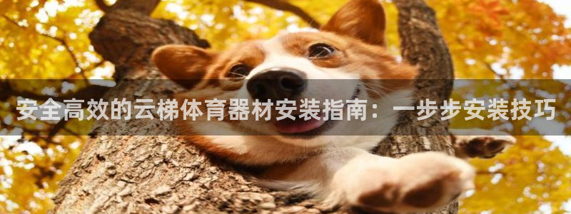 尊龙尊龙