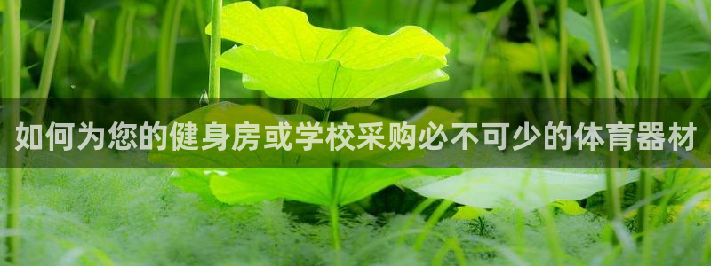 尊龙凯时企业文化
