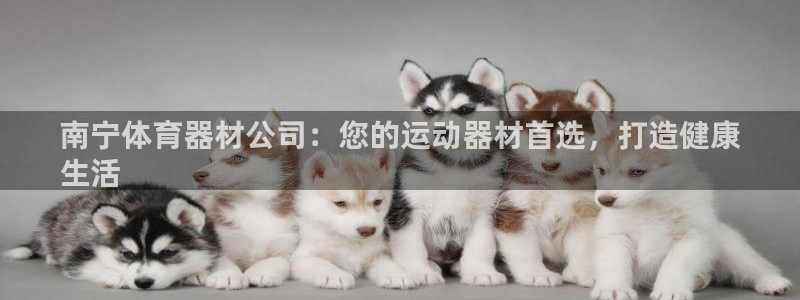 尊龙人生就要博旧版