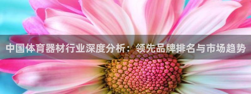 凯时kb88官方