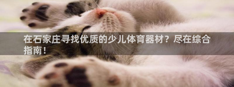 尊龙官网免费下载