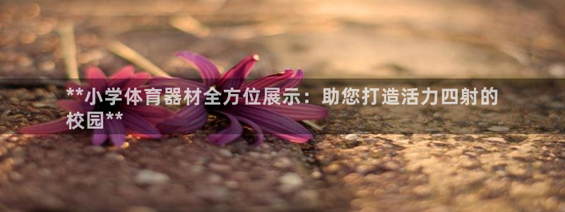 尊龙专访