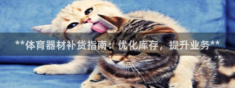 K66凯时国际平台官网