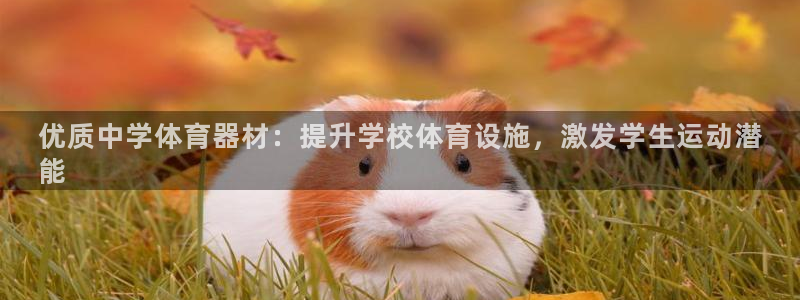 尊龙官网在哪里