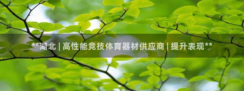 尊龙会