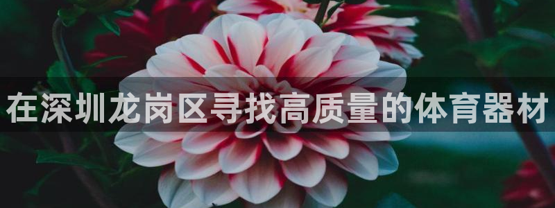尊龙手机端下载