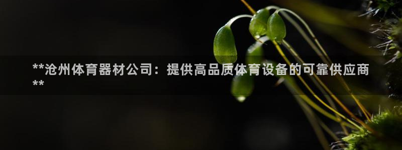 尊龙凯时网站登录