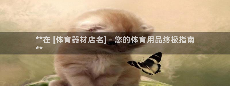 尊龙官网手机版