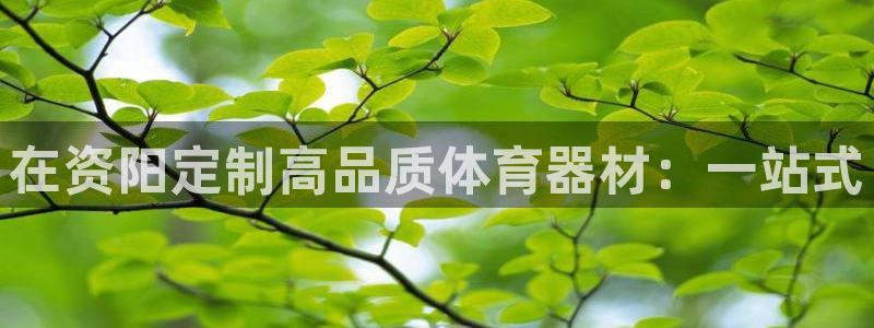 尊龙官网国际
