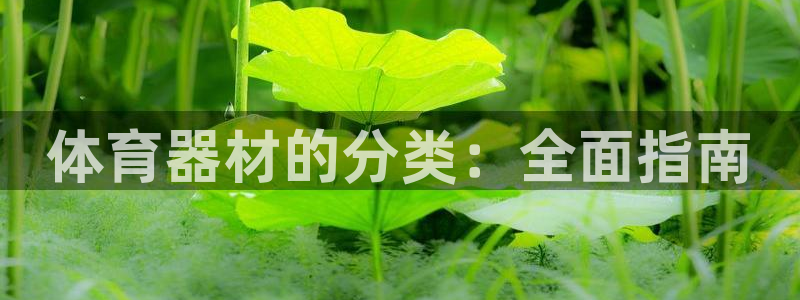 尊龙凯时几百万怎么下