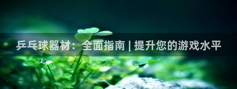 尊龙d88官网可靠送38元