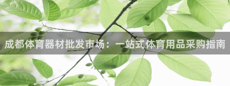 尊龙官网下载