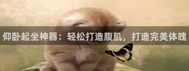 尊龙手机版下载