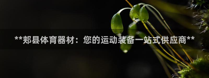 尊龙凯时法充十万返现多少