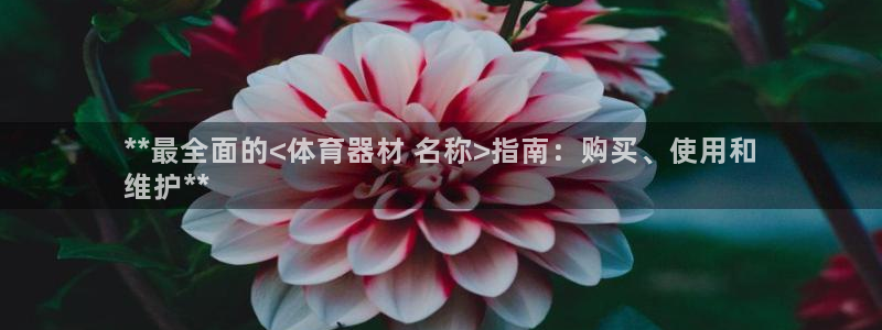 尊龙官方