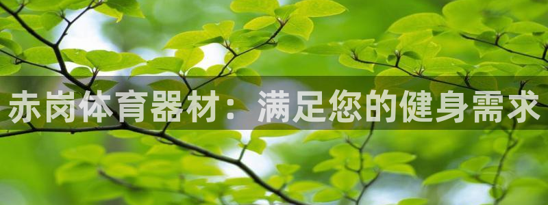 尊龙凯时投诉最狠的方法