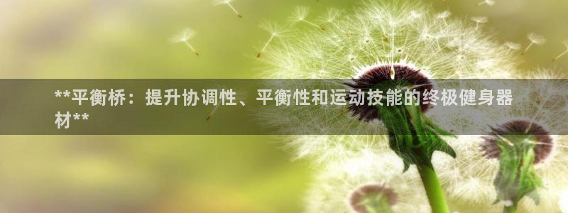 凯时K66最新版本下载