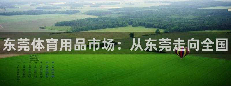尊龙凯时赞助