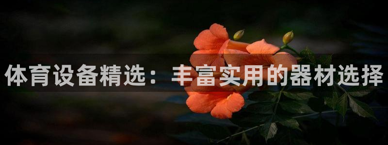 尊龙网址是选访问zd207