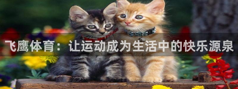 尊龙旗舰店