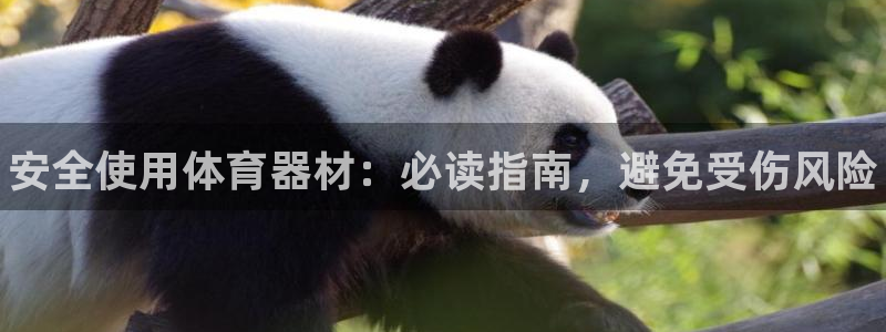 尊龙新版app首页：安全使用体育器材：必读指南，避免受伤风险