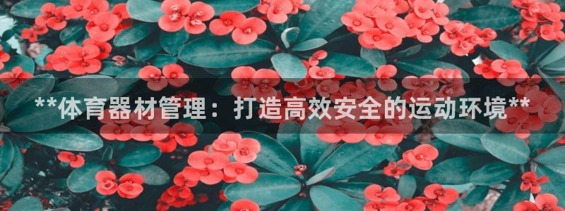 尊龙官网网页版