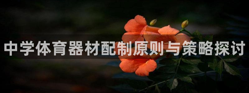 尊龙凯时取款一直支付中