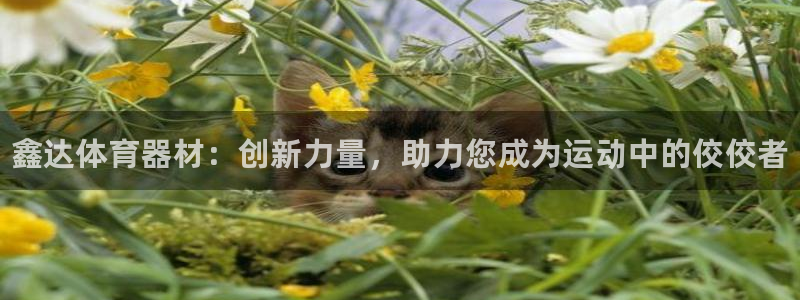 尊龙凯时z6官网