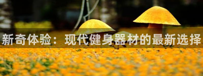 尊龙人生就是博