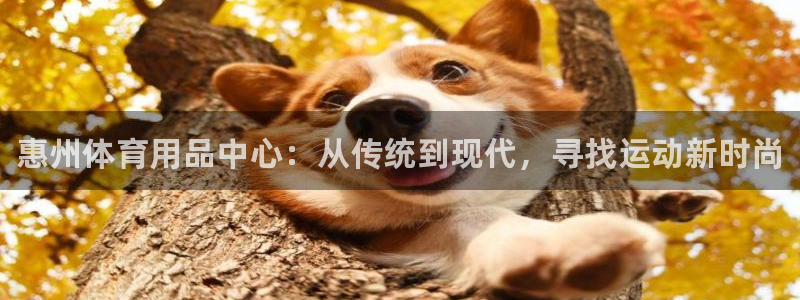 尊龙凯时旗舰厅百家乐下载