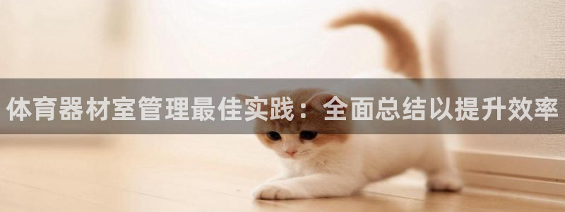 尊龙500价格：体育器材室管理最佳实践：全面总结以提升效率