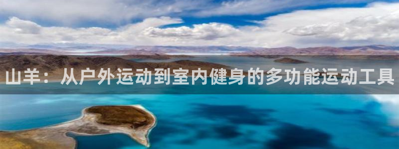 尊龙实业有限公司是正规还是仿