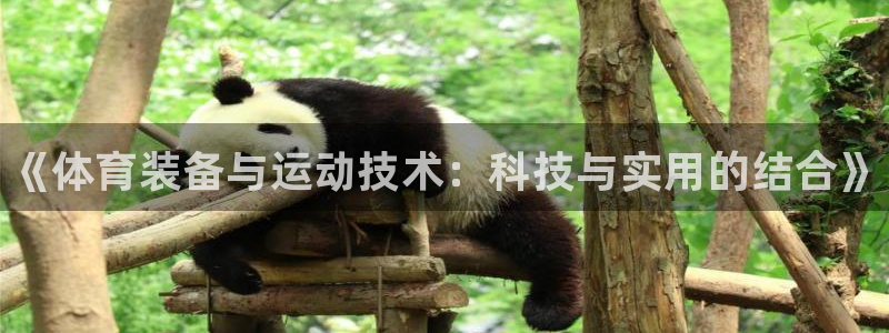 尊龙凯时ag旗舰